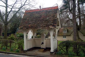 pump at Parsonage Piece March 2008